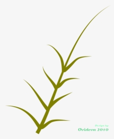 Green Plant Svg Clip Arts - Clip Art, HD Png Download, Transparent PNG