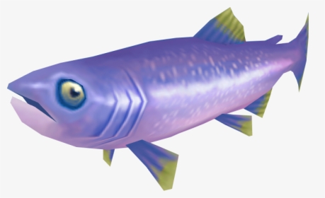 Image Leaping Aquarium Runescape - Shark, HD Png Download, Transparent PNG