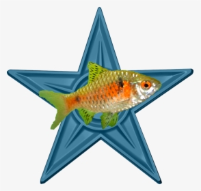 Aquarium Fish Barnstar - Video Game, HD Png Download, Transparent PNG