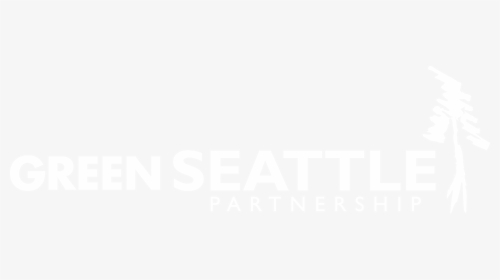 Graphic Design, HD Png Download, Transparent PNG