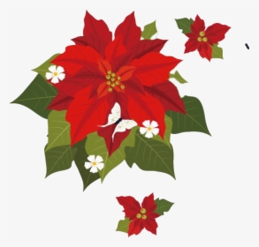 Christmas Poinsettia Png Transparent - Christmas Poinsettia Painting Clipart, Png Download, Transparent PNG