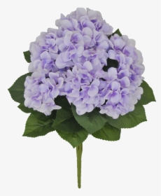 22 - Hydrangea, HD Png Download, Transparent PNG