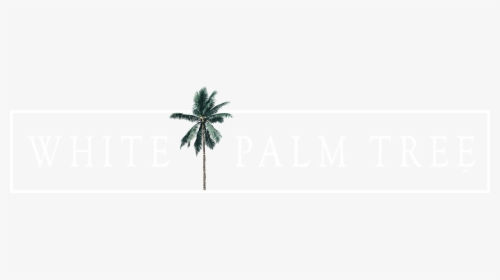 White Palm Tree Png, Transparent Png, Transparent PNG