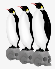 Emperor Penguins Skulls - Adã©lie Penguin, HD Png Download, Transparent PNG