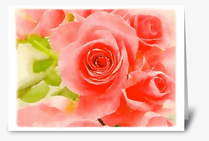 Roses Greeting Card - Garden Roses, HD Png Download, Transparent PNG