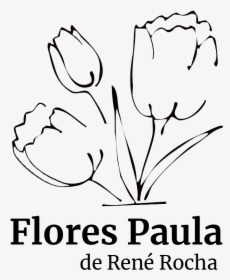 Flores Paula - Tulip, HD Png Download, Transparent PNG