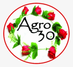 Floristería Agro - Ad Maiorem Dei Gloriam, HD Png Download, Transparent PNG