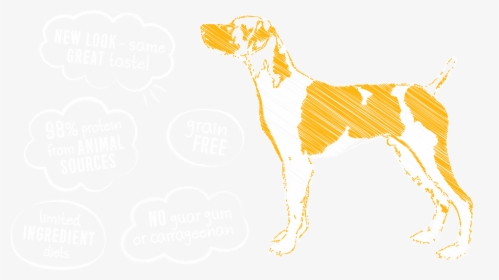 Companion Dog, HD Png Download, Transparent PNG