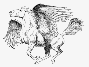 Mythology Png Images Transparent Free Download - Mythical Creature Pegasus Coloring Pages, Png Download, Transparent PNG
