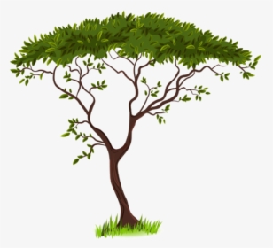 Savanna Silhouette Clip Art - Tree Clipart Transparent Background, HD Png Download, Transparent PNG