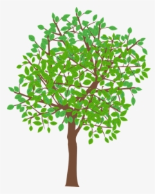 Tree Illustration Vector Png, Transparent Png, Transparent PNG