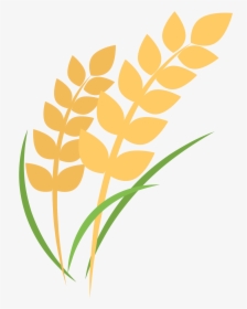 Rice Plant Cartoon Png , Png Download - Clipart Rice Plant Png, Transparent Png, Transparent PNG
