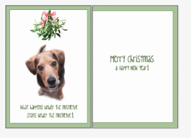 Holiday- What Happens Under The Mistletoe   Class - Christmas Card Dog And Mistletoe, HD Png Download, Transparent PNG