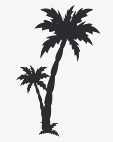 Transparent Black Palm Tree Png - Black Date Tree Png, Png Download, Transparent PNG