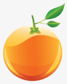 Orange Png Image, Free Download - Orange Clip Art Png, Transparent Png, Transparent PNG