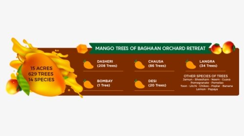 Mango Trees - Squash, HD Png Download, Transparent PNG