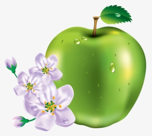 15 Green Apple Png Image Clipart Image - Transparent Transparent Png Green Apple Flowers, Png Download, Transparent PNG