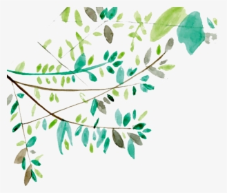 Ftestickers Watercolor Leaves Vines Greenery - Transparent Watercolor Clip Art Leaf, HD Png Download, Transparent PNG
