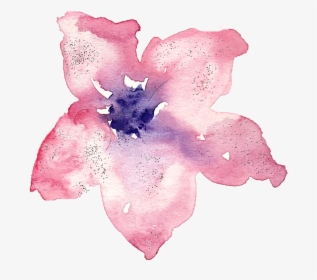 Watercolor, Watercolour, Lily, Flower, Rose, Art - Transparent Background Watercolor Png, Png Download, Transparent PNG