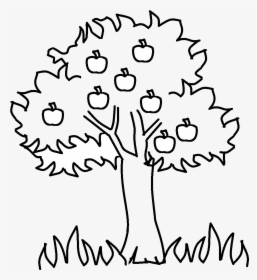 Apple Tree Black And White Family Clip Art Printable - Summer Tree For Coloring, HD Png Download, Transparent PNG