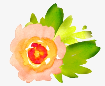 Lime Clipart Watercolour - Clip Art Watercolor Flower Images Free, HD Png Download, Transparent PNG