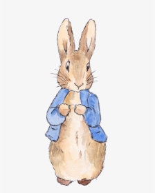 Peter Rabbit Watercolour , Png Download - Peter Rabbit Transparent Background, Png Download, Transparent PNG