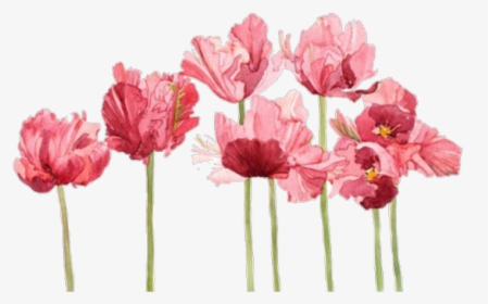 Aesthetic, Flowers, And Overlay Image - Watercolor Flowers Tumblr Png, Transparent Png, Transparent PNG