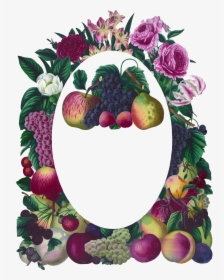 Vintage Floral And Fruit Frame Clip Arts - Floral Frame Oval Vintage, HD Png Download, Transparent PNG