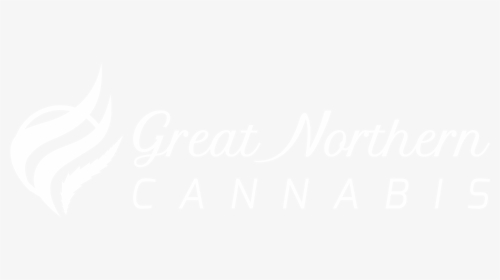 Great Northern Cannabis - Informatica White Logo Transparent, HD Png Download, Transparent PNG