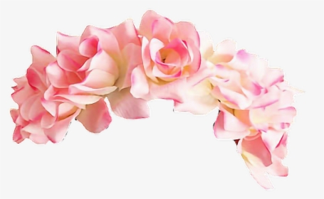 #roses #corona #corona De Rosas - Pink Flower Crown Png, Transparent Png, Transparent PNG