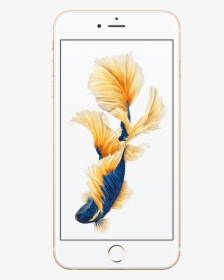 Apple Iphone 6s Plus - Iphone Ikan Cupang, HD Png Download, Transparent PNG