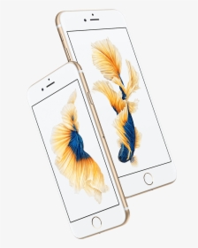 6s Plus Iphone6s, HD Png Download, Transparent PNG