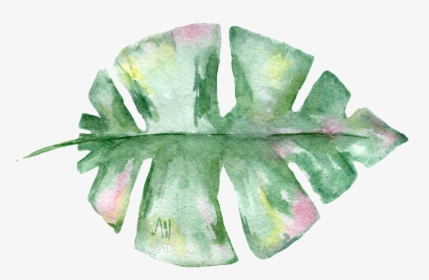 Hand Painted Leaf Material Free Download - Transparent Watercolor Plant Png, Png Download, Transparent PNG