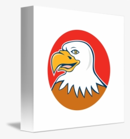Eagle Head Png - Bald Eagle, Transparent Png, Transparent PNG