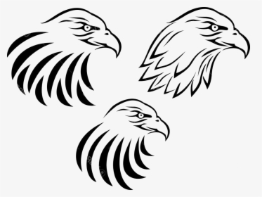 Eagle Head Vector Art Clipart Black And White Transparent, HD Png Download, Transparent PNG