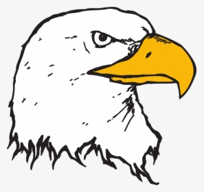 Head, Eagle, Bird, Bald, Beak - Animated Bald Eagle Head, HD Png Download, Transparent PNG