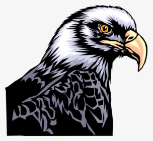 More In Same Style Group - Aguila, HD Png Download, Transparent PNG