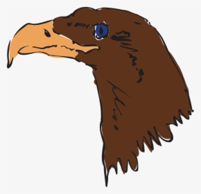 Eagle, Head, Brown, Bird, Beak, Feathers, Predator - Gambar Wajah Burung Gagak Kartun, HD Png Download, Transparent PNG