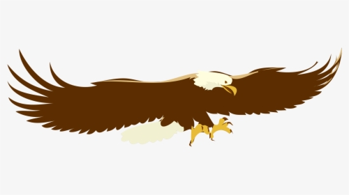 Eagle,wildlife,bald Eagle - Soaring Eagle Clip Art, HD Png Download, Transparent PNG