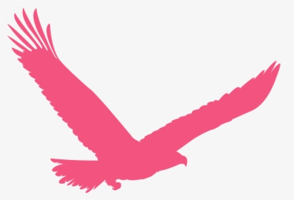 Dark Green Eagle Logo, HD Png Download, Transparent PNG