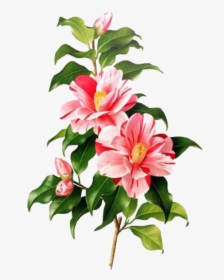 #flower #pink #spring #png #overlay #free #edits #edit - Flower Overlays For Edits, Transparent Png, Transparent PNG