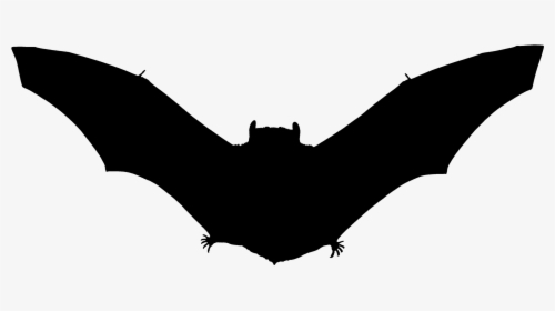 Halloween Bats, HD Png Download, Transparent PNG