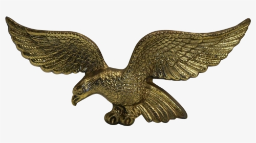 Top Images For American Brass Eagle Plaque On Picsunday - Red-tailed Hawk, HD Png Download, Transparent PNG