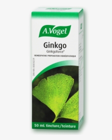Vogel Ginkgoforce Fresh Ginkgo Biloba Extract - Vogel Ginkgoforce, HD Png Download, Transparent PNG