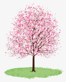 Ftestickers Clipart Watercolor Illustration Cherrybloss - Clip Art Spring Tree, HD Png Download, Transparent PNG