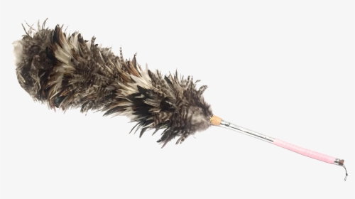 Feather Duster Png - Feather Boa, Transparent Png, Transparent PNG