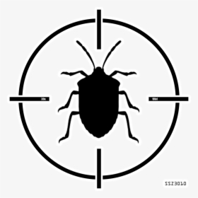 Brown Marmorated Stink Bug Drawing, HD Png Download, Transparent PNG