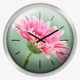 Wall Clock, HD Png Download, Transparent PNG