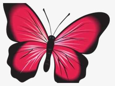 Insect Clipart Butterfly - Papillon Clipart, HD Png Download, Transparent PNG