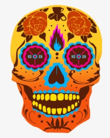 Skull, HD Png Download, Transparent PNG